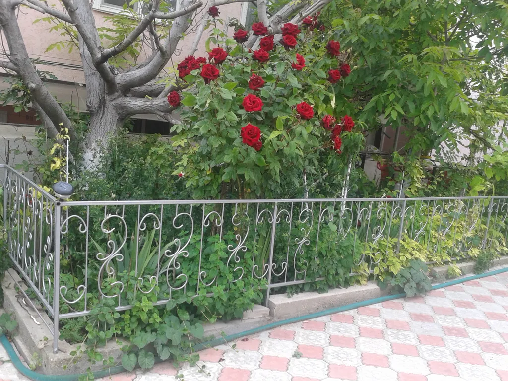 Дома, коттеджи-целиком-1/2 трёх комнатный семейный-7-8чел