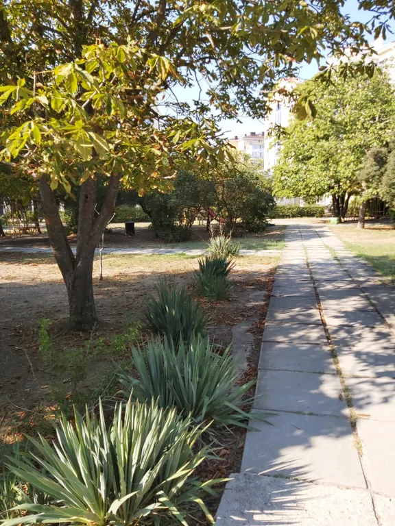 3-комнатная Квартира