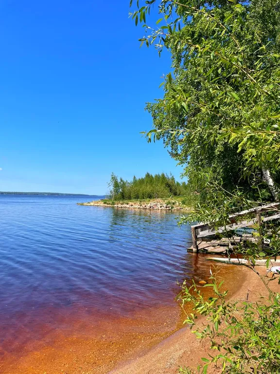 Коттедж в 100 метрах от озера