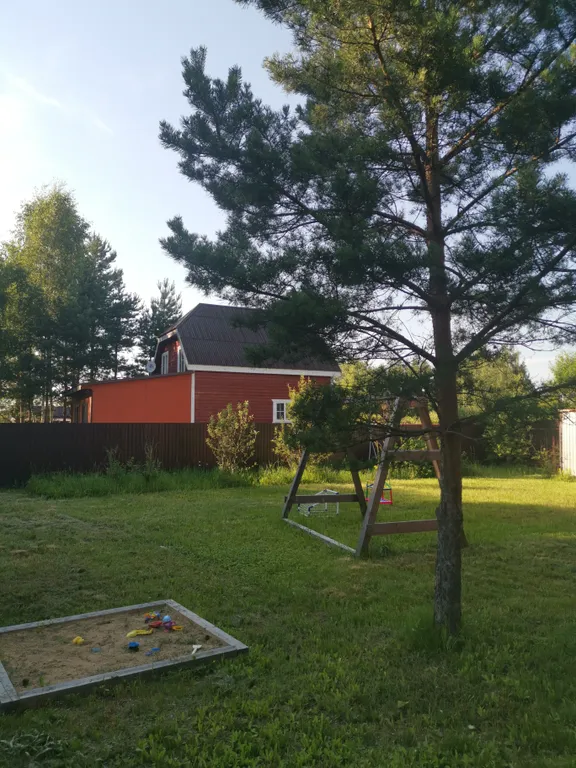 Dream Forest & River PZ