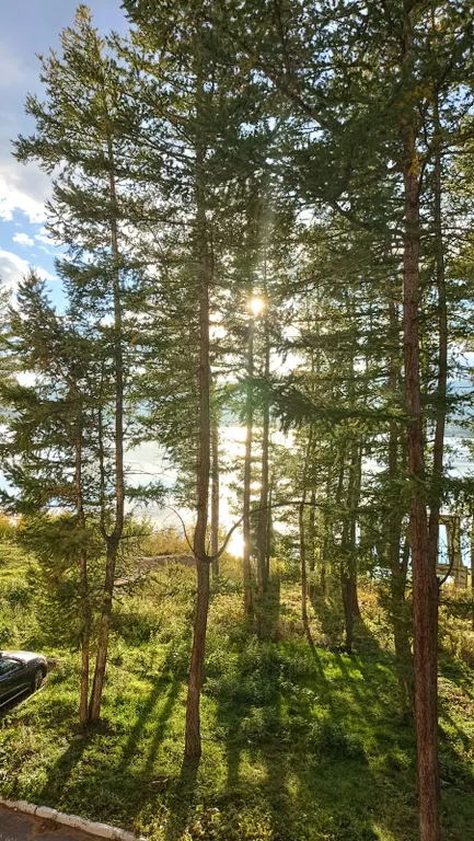 Уютная студия с красивым видом на озеро Банное