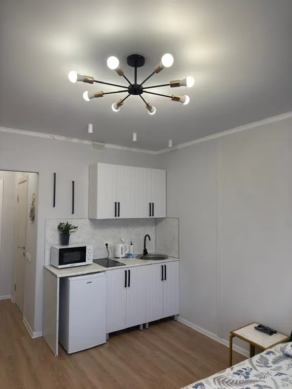 Превосходная студия в центре города