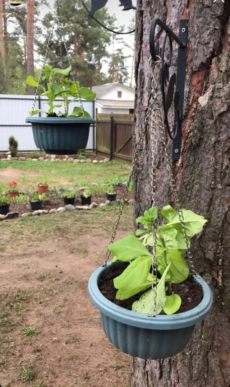 Уютный дом на Селигере