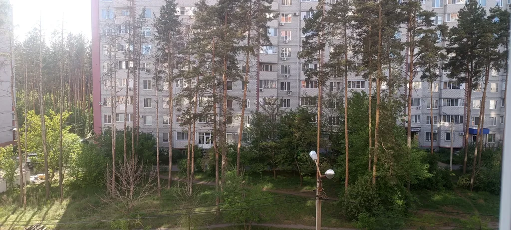 Просторная квартира у соснового бора недалеко от центра города