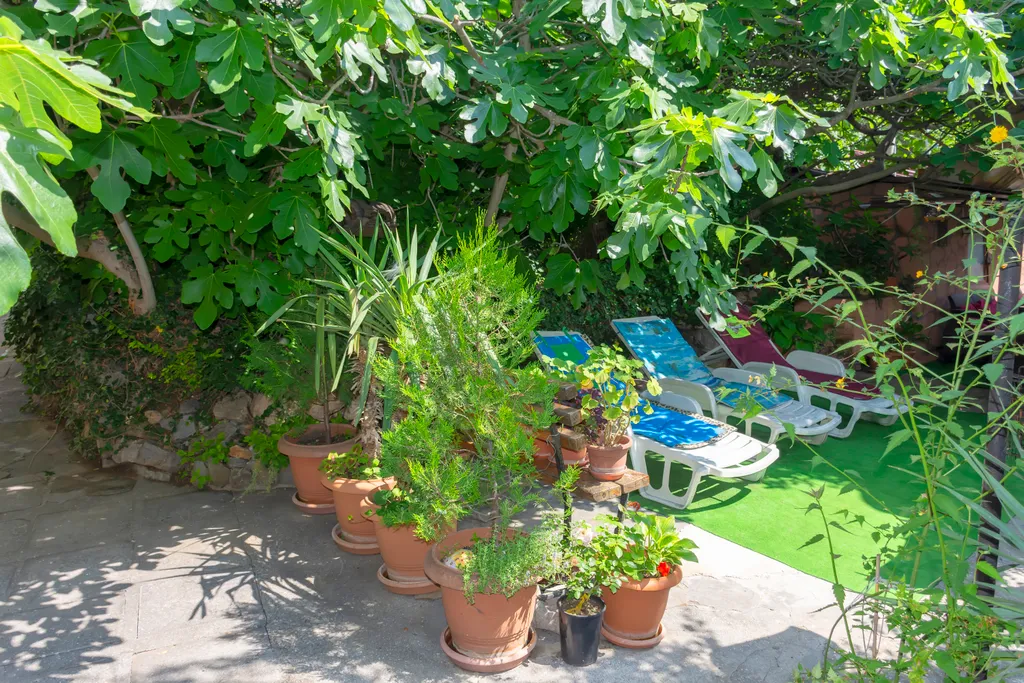 Дом с персональным двором, садом и зоной отдыха