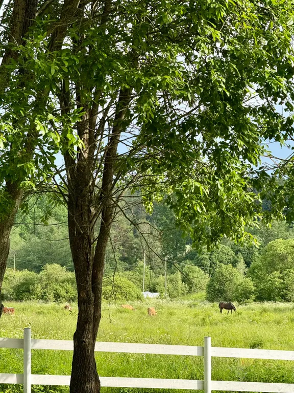 В гостях у природы