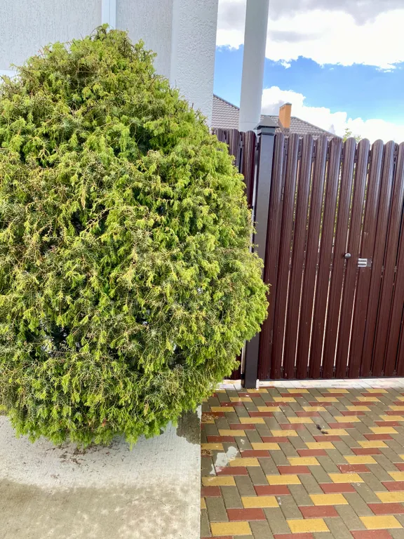 Современная квартира возле моря