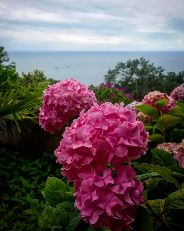 Дом с бассейном у моря участок - 24 сотки райского сада