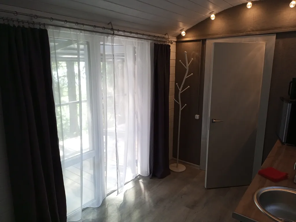 Домики на берегу Ладоги среди векового леса