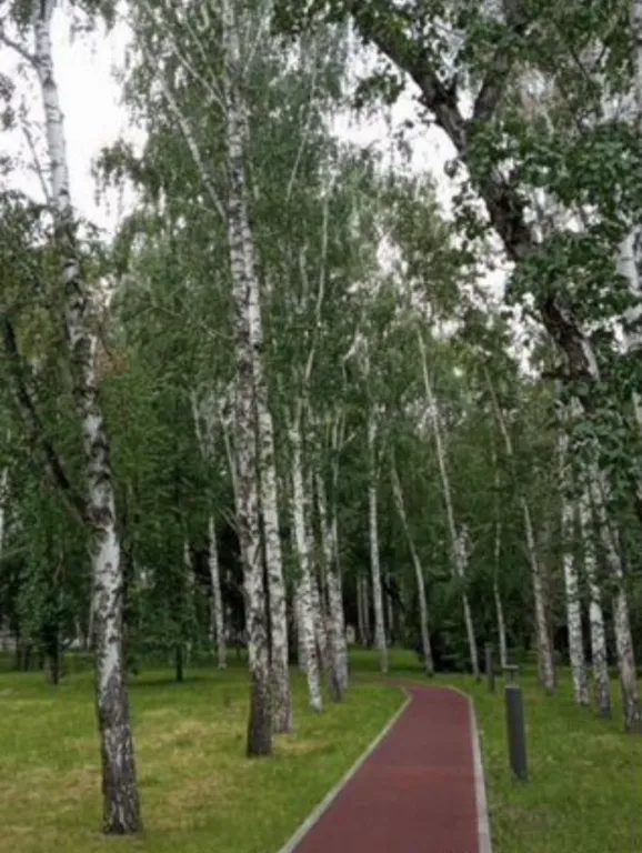 Квартира Уютная квартира — Екатеринбург