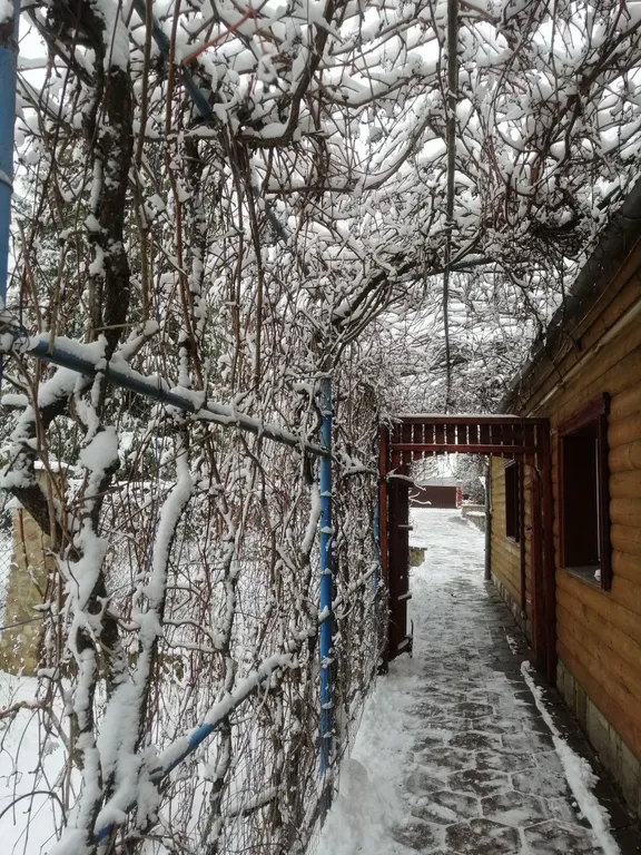 Уютный домик с баней, камином и террасой возле пруда