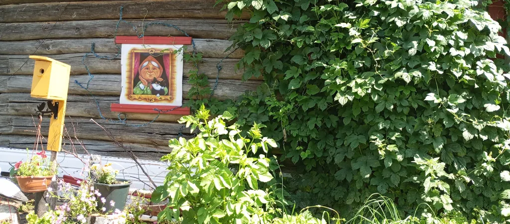 Сельский гостевой дом Лёва