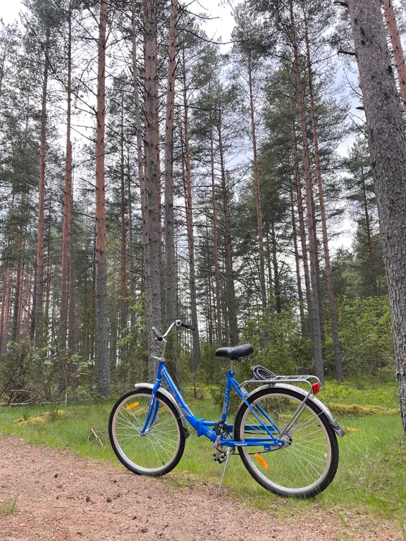 Коттедж Домик в Соснах — Санкт-Петербург