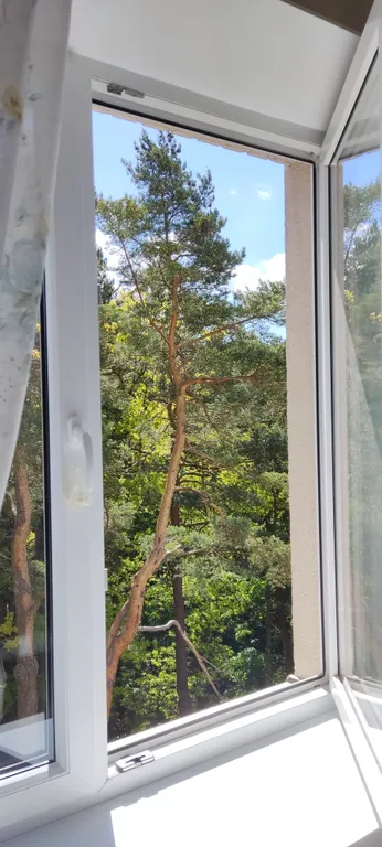 Квартира Квартира ОК-Светлик — Светлогорск