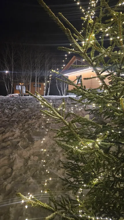 Коттедж 2-комнатный Дом — Шаховская