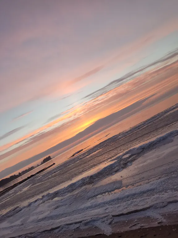 Апартаменты в соснах