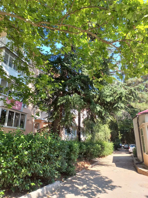 Уютная квартира в центральной части