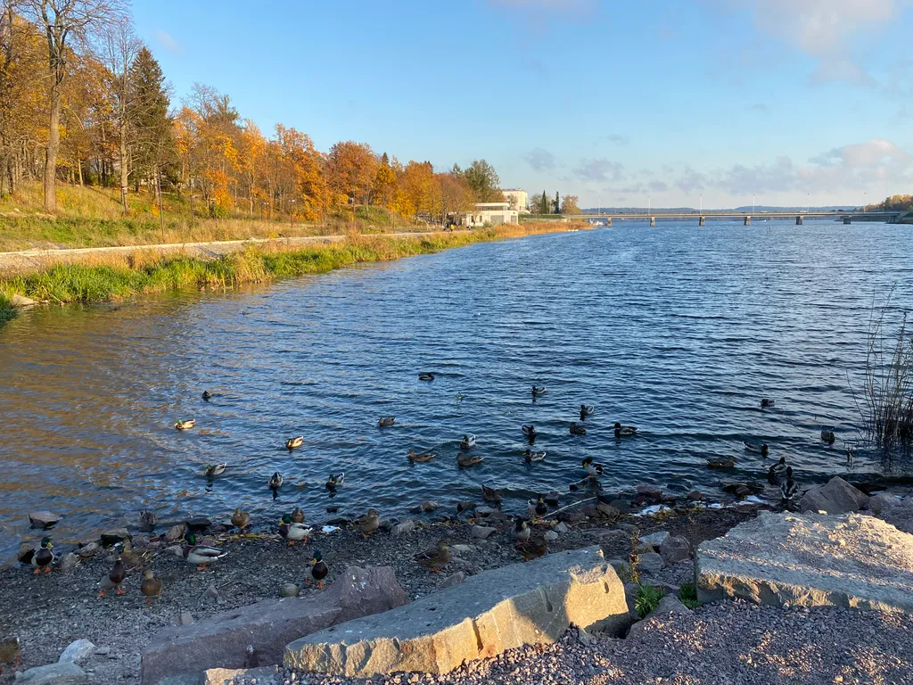 Апартаменты в Центре у Озера