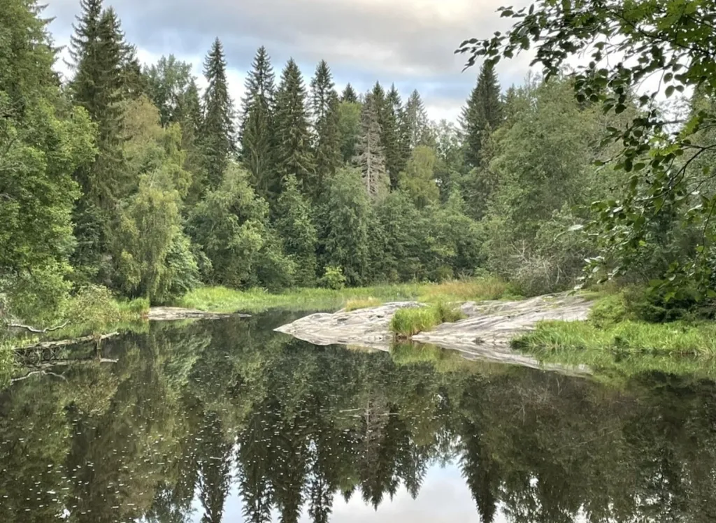 Дом для вас