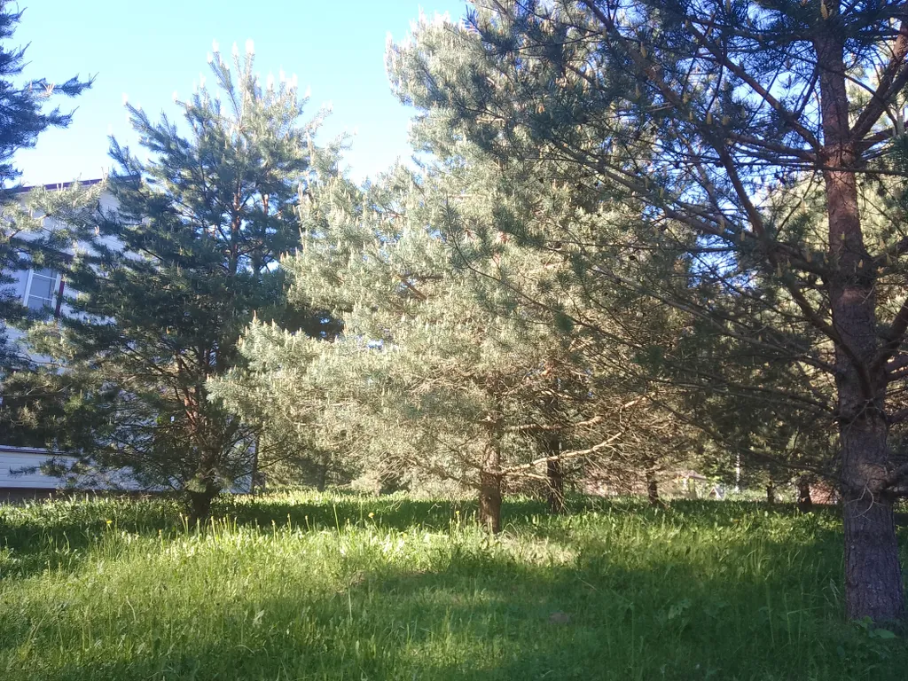 Таунхаус Хитрый Лис