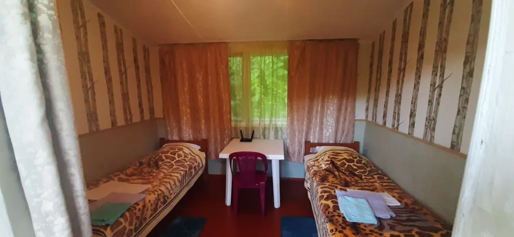 Эконом 2-х местный без питания