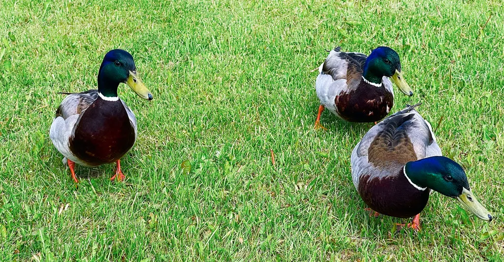 Отдых у озера