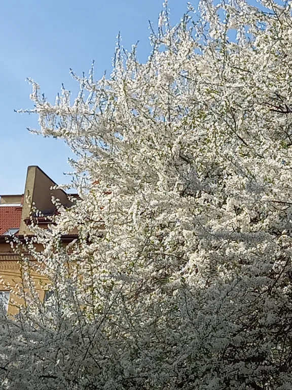 Квартира для отдыха