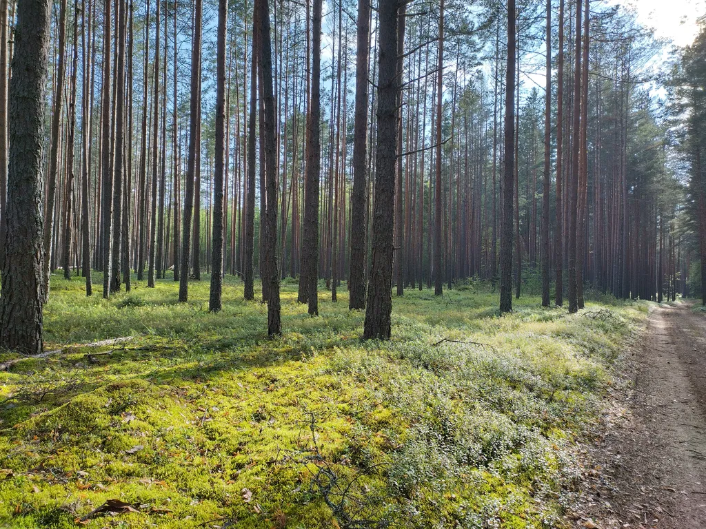Дом на берегу протоки, ведущей в Вышневолоцкое водохранилище