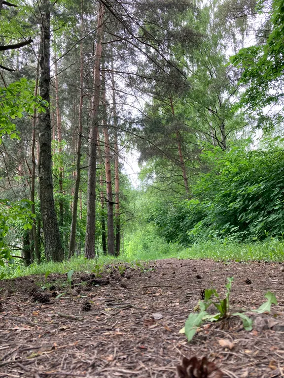 Коттедж Коттедж Новый барнхаус с баней — Манюхино