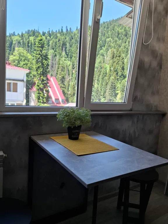 Квартира-студия с видом на горы