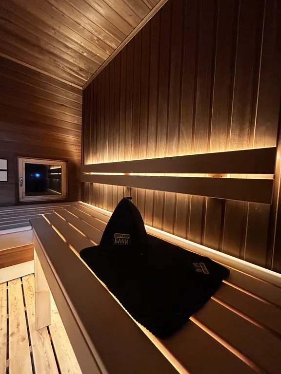 Туя пик Дом в Сорочанах с камином и баней на дровах