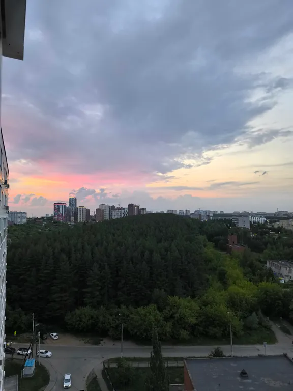 Квартира с видом на лес