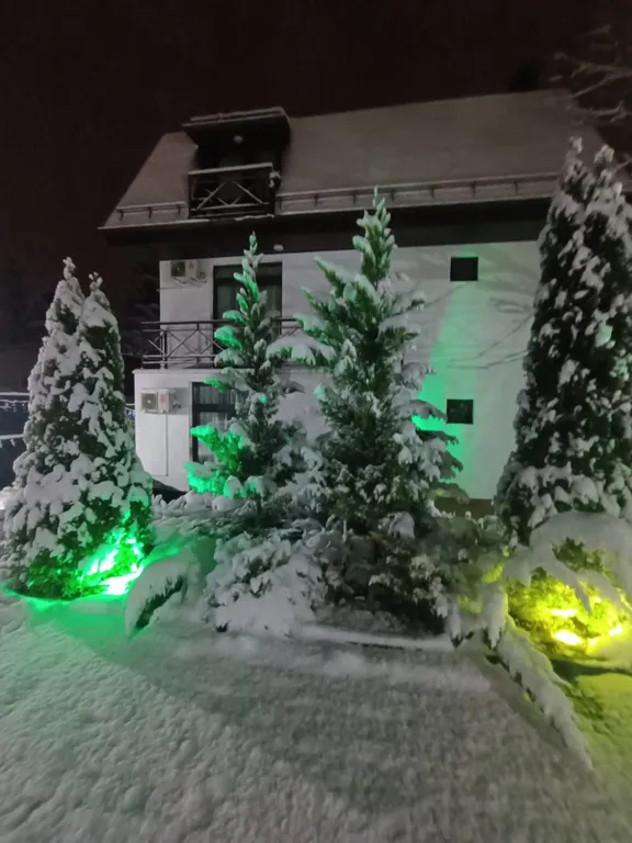 Апартаменты в горах, большая кровать