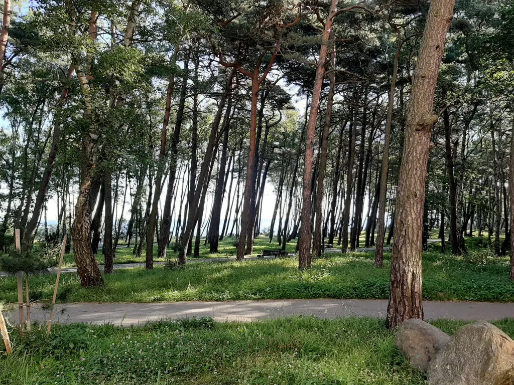 Апартаменты для семьи с видом на море