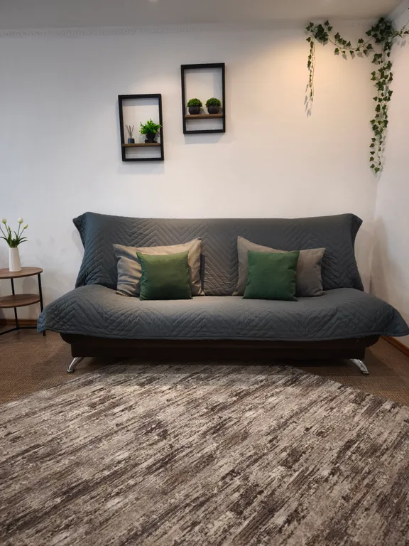 Уютная квартира с видом на реку Иртыш