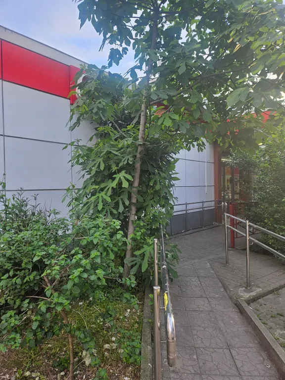 Квартира Квартира в сердце Адлера — Адлер