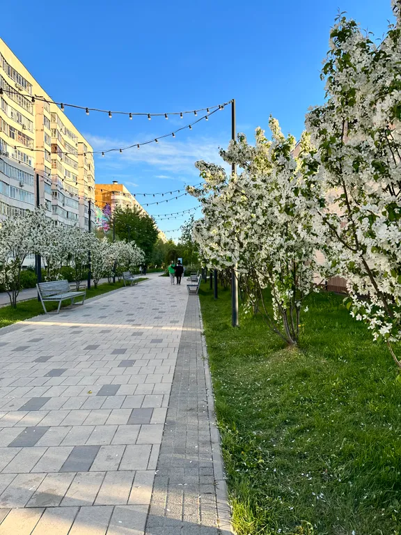 Студия на Бульваре