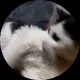 Михаил