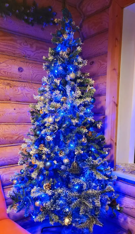 Дом на Зелёном острове