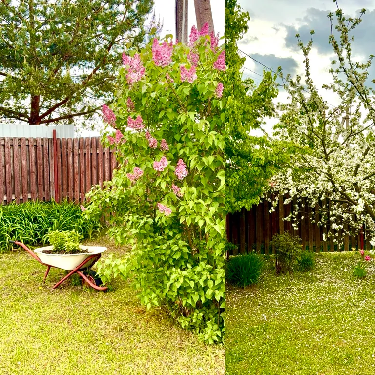 Студия в загородном доме