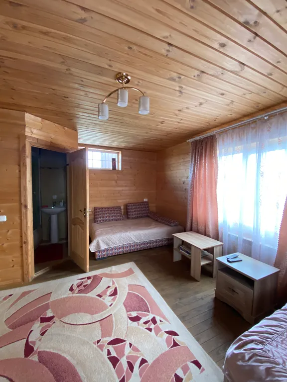 Номер с видом на Мирский замок