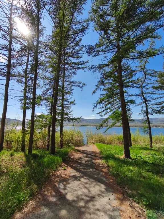 Квартира на берегу озера банное в лесной чаще из лиственниц