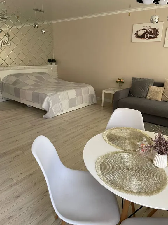 Уютная студия в центре города