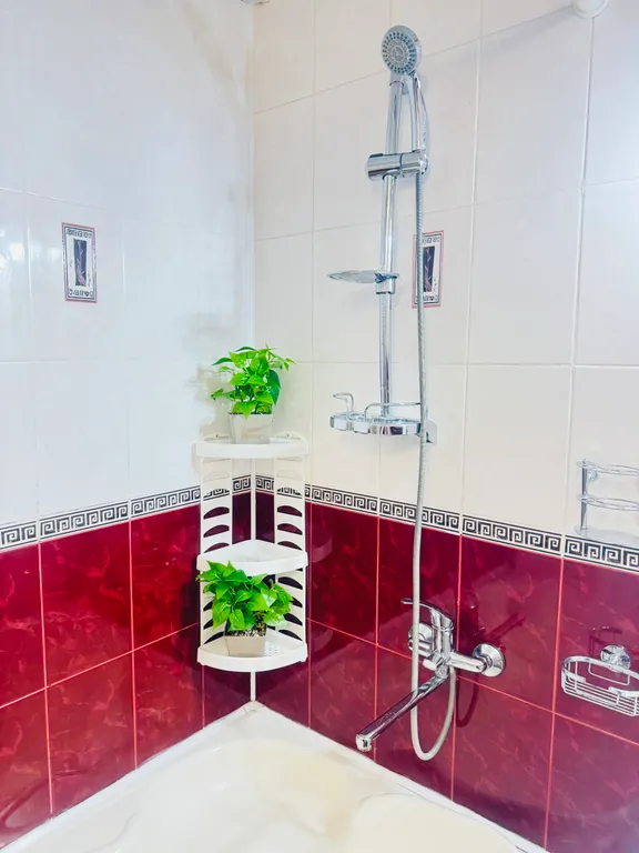 Центр, полноценная двушка