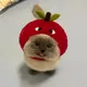 Максим