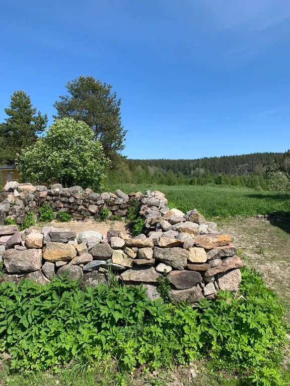 Хюгге микли