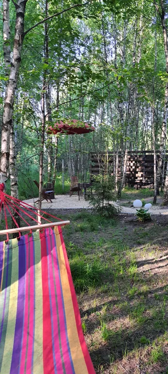 Коттедж Дом (A) с сауной и видом на лес — Пашуково