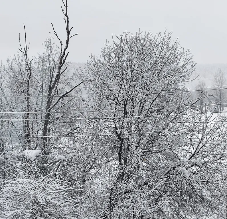 Коттедж 4-комнатный Дом — Светогорск