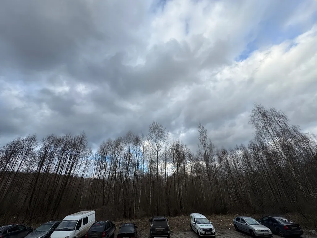 Рядом лес, никакой суеты