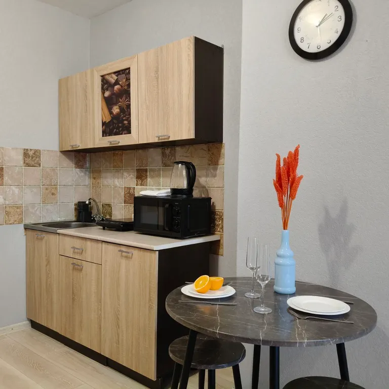 Квартира Квартира Уютная студия с прекрасным видом на парк Прищепка — Красноярск